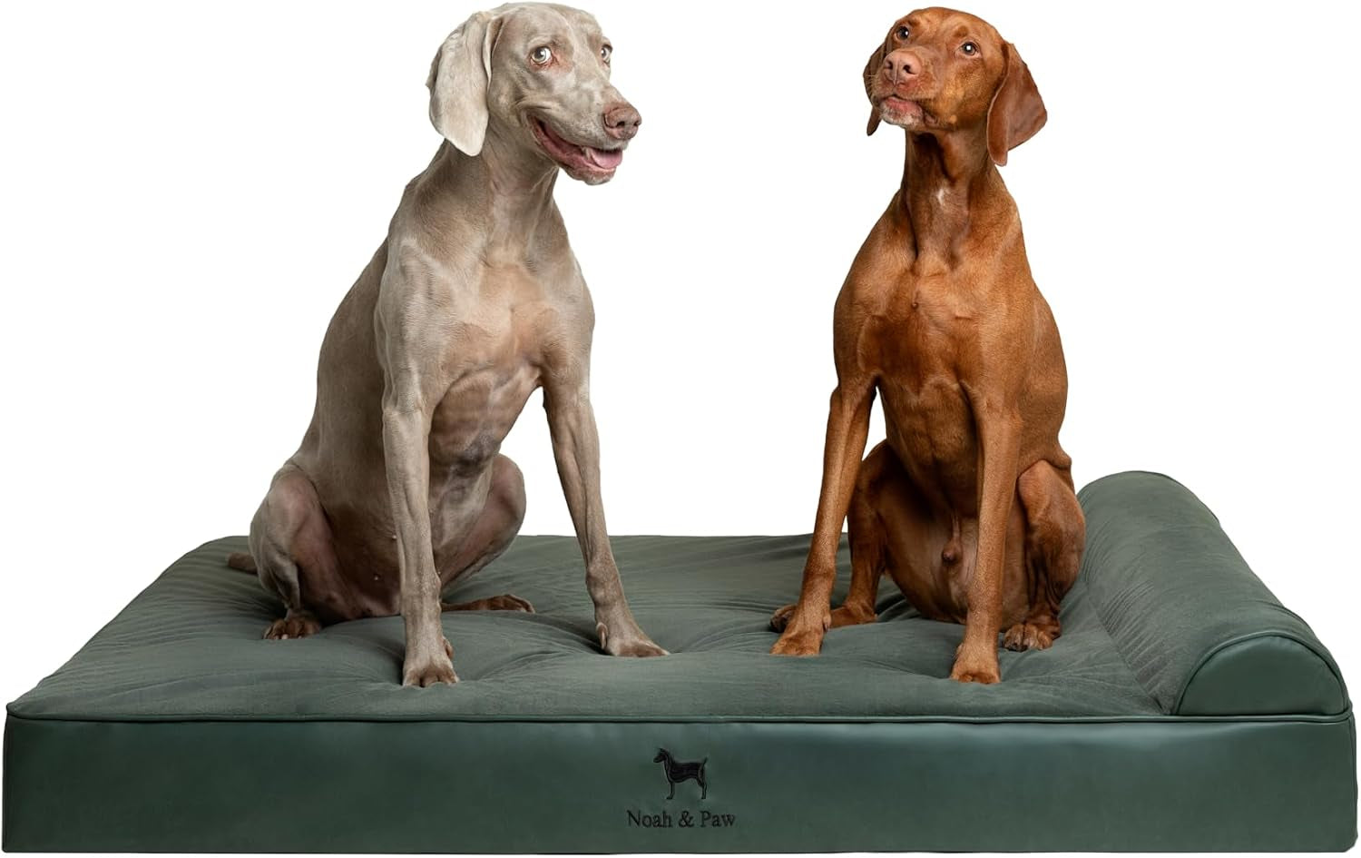 noah-paw-large-dog-bed-35x25x8-7-inch-orthopedic-dog-beds-eggshell-memory-foam-infused-with-cooling-gel-water-resistant-machine-washable-includes-inner-cover-velvet-collection