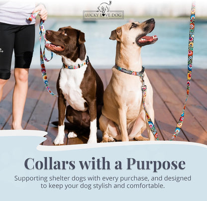 Lucky Love Dog - Easy Click Buckle Dog Collar with Leash Set Combo, Durable & Comfortable for Male & Female Dogs, Pet Collar for Medium Dogs, Secure Fit - Blackbird Combo, Medium7