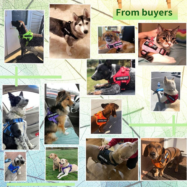Voopet Service Dog Harness, Emotional Support Pet Vest Harness, Reflective Breathable & Adjustable No Pull ESA Harness for Small Medium Large Dogs (With 4 PCS Removeable Tags),Xx Small (Pack of 1)5