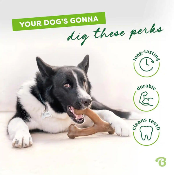 Benebone Wishbone Durable Dog Chew Toy for Aggressive Chewers, Real Bacon, Made in USA, Medium3
