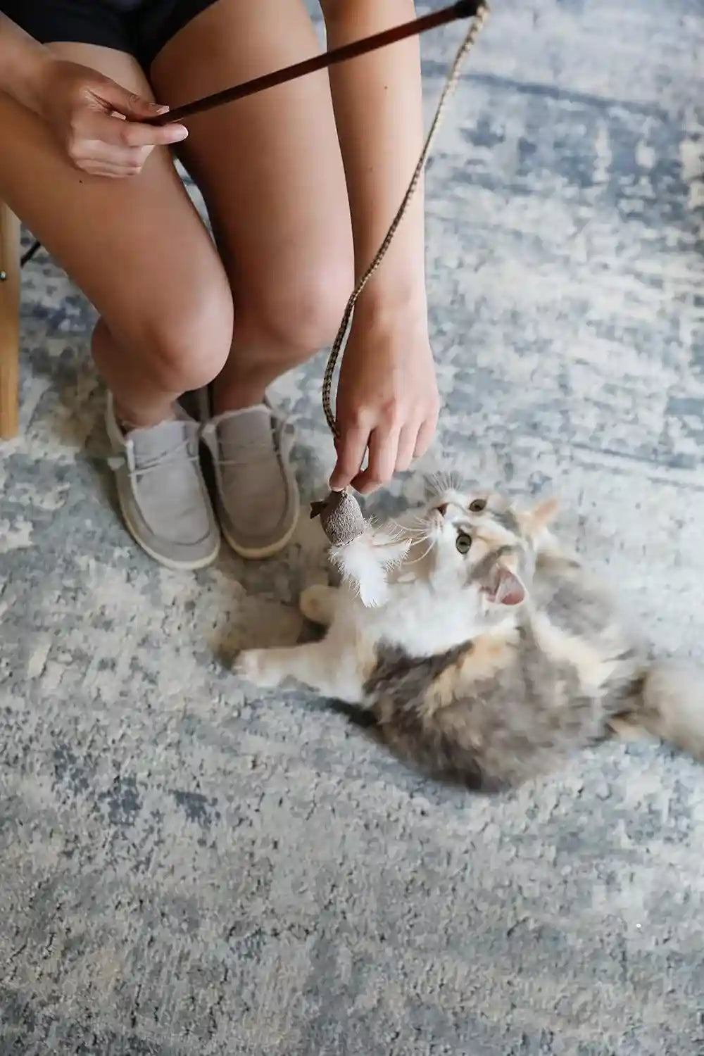 ourpets-play-n-squeak-teathered-feathered-play-wand-cat-toy-for-all-breed-sizes