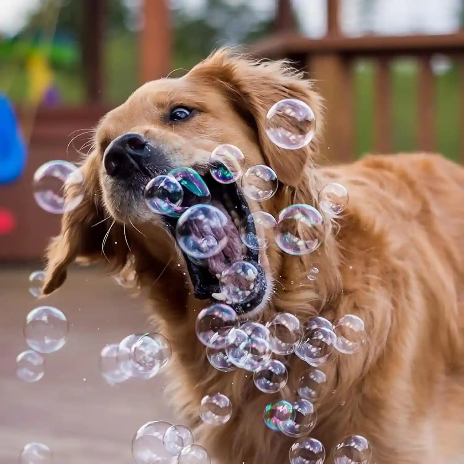 puppy-love-bubbles-peanut-butter-bacon-scented-bubbles-4oz-bottle-2-pack-combo-1-peanut-butter-1-bacon-for-dogs