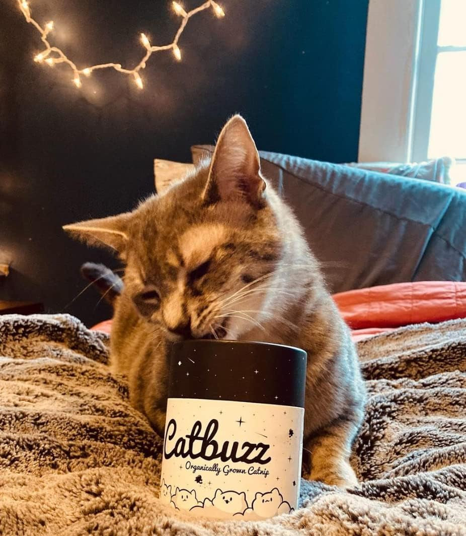 catbuzz-premium-and-organically-grown-catnip-fresh-grown-by-family-farmers-in-the-usa-all-natural-eco-friendly-sustainable