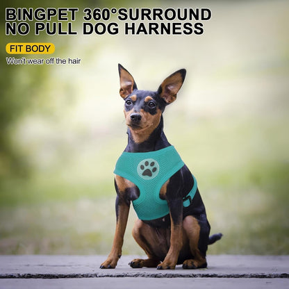 BINGPET Small Dog Harness, No Pull Dog Harness Small Sized Dogs, Soft Light Breathable Mesh Puppy Vest with Safety Buckle-Adjustable Step in Pet Harnesses for Easy Walking, Running, Training6