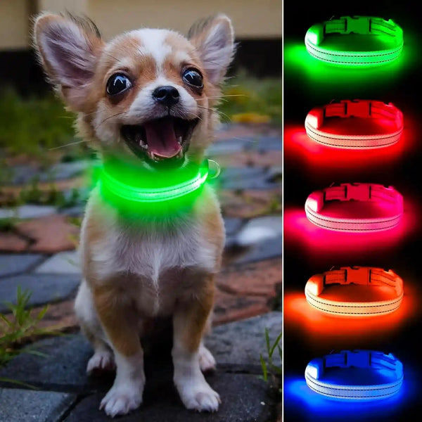 Light up Dog Collar for Small Dogs& Cats, Reflective LED Dog Collar Rechargeable Glowing Puppy Collar Safety Dog Lights for Night Walking (Royal Blue)8
