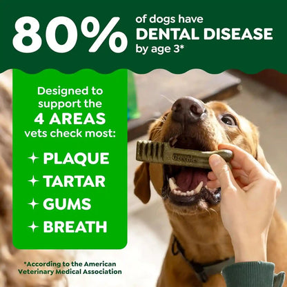 Greenies Regular Natural Dental Dog Treats, Fresh Mint Flavor, 12 Count | for Dogs 25-50 Lbs, Clinically-Proven 47% Less Tartar & 40% Less Plaque in 28 Days, Cleans to Gumline, 12 Oz. Pack4