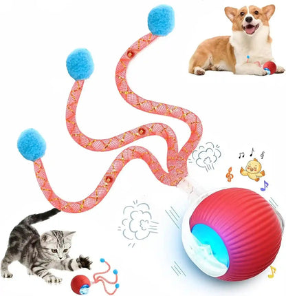 2 Packs Speed 2.0 Tail Interactive Cat Toys for Indoor Cats, Chirping & Motion Activate Cat Toy, Smart Kitten Rolling Ball Moving Ball Toys, Rechargeable Dog Cats Bal L for Enrichment Exercise11