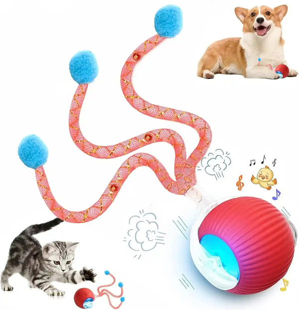 2 Packs Speed 2.0 Tail Interactive Cat Toys for Indoor Cats, Chirping & Motion Activate Cat Toy, Smart Kitten Rolling Ball Moving Ball Toys, Rechargeable Dog Cats Bal L for Enrichment Exercise11