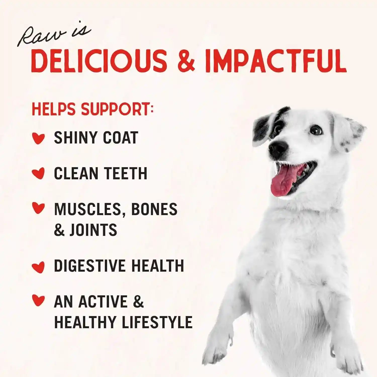 stella-chewys-freeze-dried-raw-chicken-breast-dog-treats-single-ingredient-no-additives-premium-training-treats-perfect-for-picky-eaters-2-75oz-bag