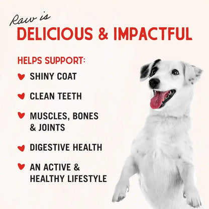 Stella & Chewy'S Freeze-Dried Raw Chicken Breast Dog Treats - Single Ingredient, No Additives - Premium Training Treats - Perfect for Picky Eaters - 2.75Oz Bag5
