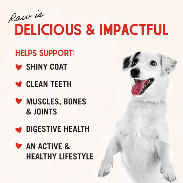 Stella & Chewy'S Freeze-Dried Raw Chicken Breast Dog Treats - Single Ingredient, No Additives - Premium Training Treats - Perfect for Picky Eaters - 2.75Oz Bag5