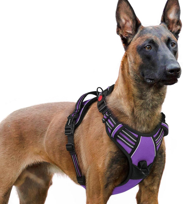 Rabbitgoo Dog Harness Medium Sized, Updated Easy on & off with 3 Buckles | No Pull No Choke, Walking with 2 Clips and Handle, Adjustable Soft Reflective, Blue, Medium30