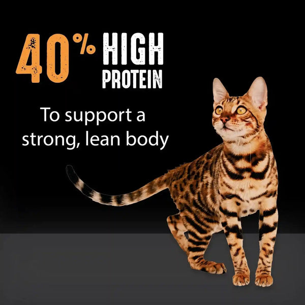 CRAVE Grain Free High Protein Natural Adult Dry Cat Food, Chicken, 4 Lb | Real Chicken #1 Ingredient, 40% Protein, No Chicken By-Product Meal, No Corn, Wheat or Soy, Complete & Balanced7