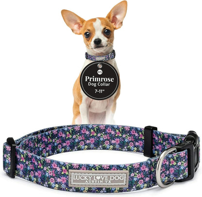 Lucky Love Dog - Easy Click Buckle Dog Collar with Leash Set Combo, Durable & Comfortable for Male & Female Dogs, Pet Collar for Medium Dogs, Secure Fit - Blackbird Combo, Medium22