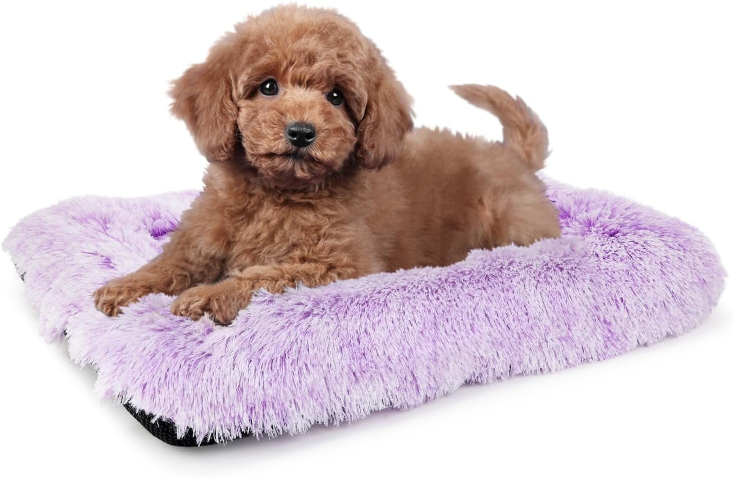nononfish-dog-crate-bed-for-small-dogs-washable-orthopedic-flat-for-inside-crate-cages-kennel-house-sofa-plush-comfy-sleeping-beige-24-in