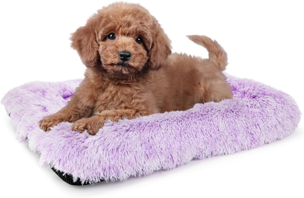 Nononfish Dog Crate Bed for Small Dogs Washable Orthopedic Flat for inside Crate Cages Kennel House Sofa Plush Comfy Sleeping Beige,24 In9
