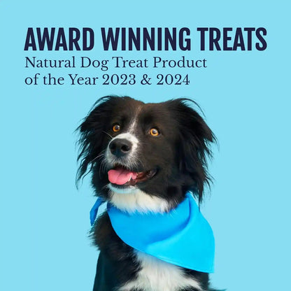Snif-Snax Salmon Bites Dog Treats 3 Pack, All Natural Human-Grade Training Treats for Dogs, Healthy Grain-Free Puppy & Adult Rewards, Protein Rich Soft Salmon Snacks5