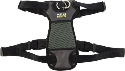 Coastal Pet Walk Right Front-Connect No-Pull Padded Dog Harness - Adjustable & Comfortable Dog Harness - Small & Large Breed Fit - Quality Pet Supplies - Black, LRG (26"-38")14