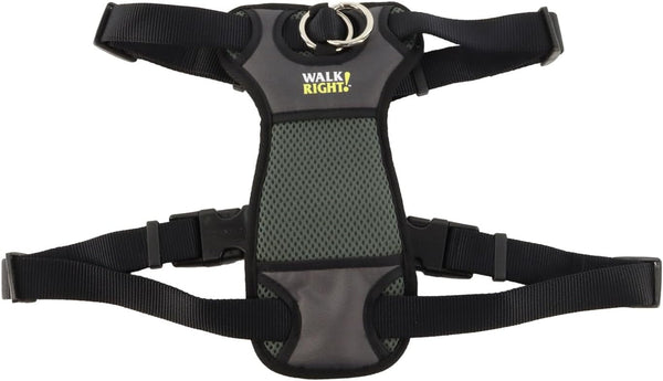 Coastal Pet Walk Right Front-Connect No-Pull Padded Dog Harness - Adjustable & Comfortable Dog Harness - Small & Large Breed Fit - Quality Pet Supplies - Black, LRG (26"-38")14