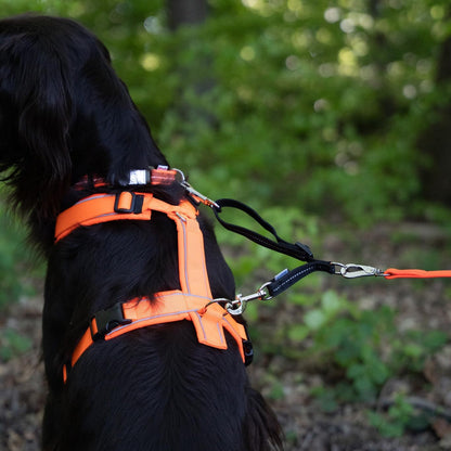 Herm. Sprenger Adjustable Coupling Strap – Reflective Nylon 2-Way Dog Leash Coupler with Nickel-Plated Swivel Clip – Safety Backup Strap for Prong & Flat Collars (Red)2
