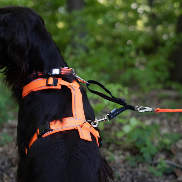 Herm. Sprenger Adjustable Coupling Strap – Reflective Nylon 2-Way Dog Leash Coupler with Nickel-Plated Swivel Clip – Safety Backup Strap for Prong & Flat Collars (Red)2