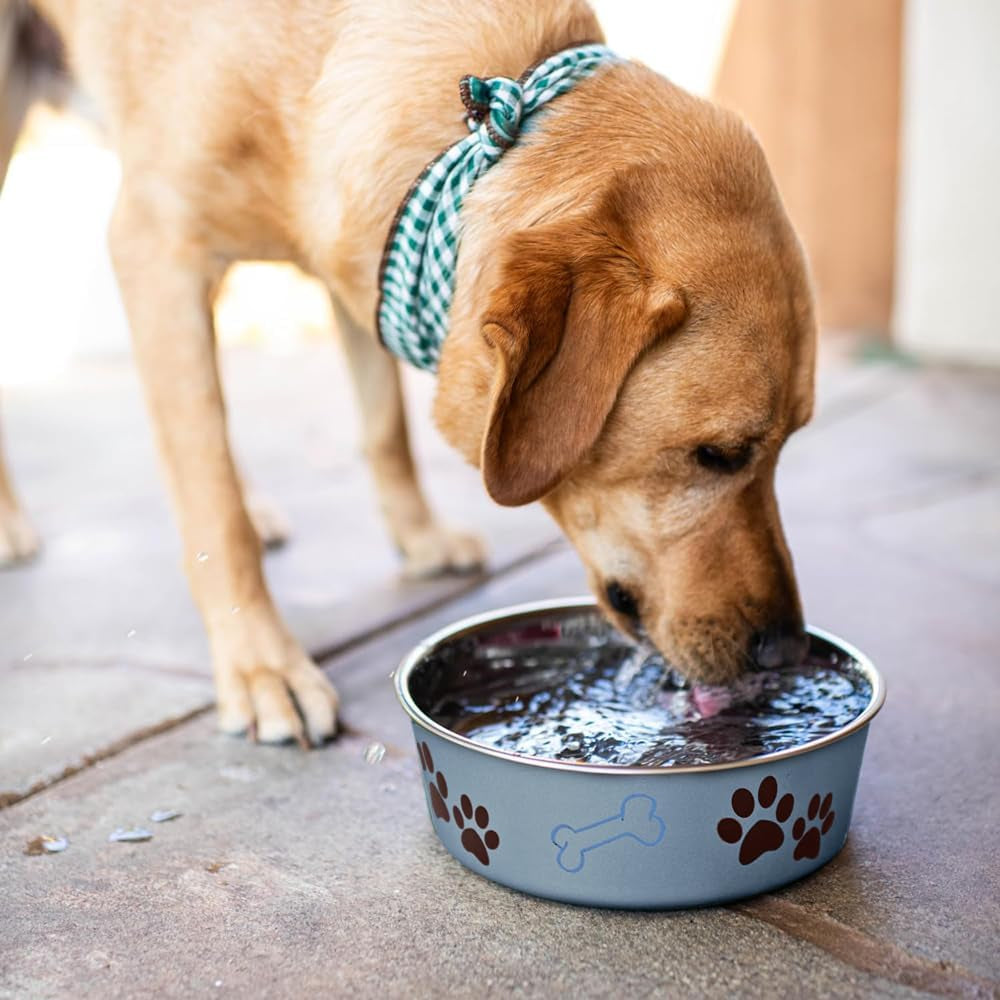 loving-pets-bella-dog-bowls-stainless-steel-dog-cat-bowls-spill-proof-dog-food-bowl-cat-bowl-puppy-essentials-pet-supplies-great-for-home-travel-medium-20-35-lbs-blueberry