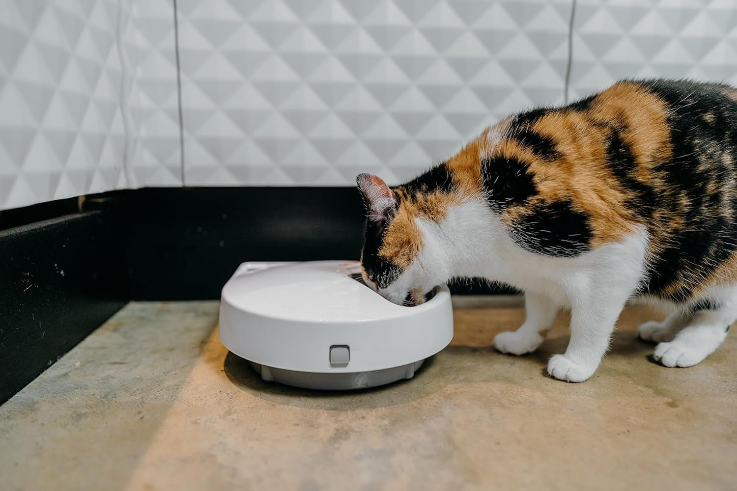 cat-mate-c500-automatic-pet-feeder-with-digital-timer-for-cats-and-small-dogs
