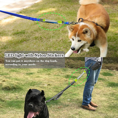 Heavy Duty Dog Leash and LED Light Set, LED Light with Nylon Stickers, Universal Glowing Accessories Easy to Attach Collar Leash and Harness, Safety LED Light up Band for Dogs at Night Walking3