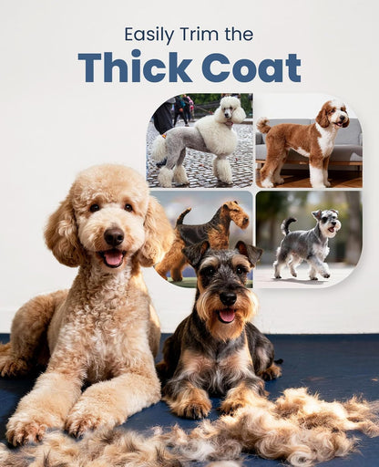 Oneisall Dog Clippers for Grooming Thick Heavy Coats | Low Noise,Rechargeable Cordless,Detachable Stainless Steel Blade,Ipx7 Waterproof,10 Guide Combs,For Thick/Double/Curly Hair7