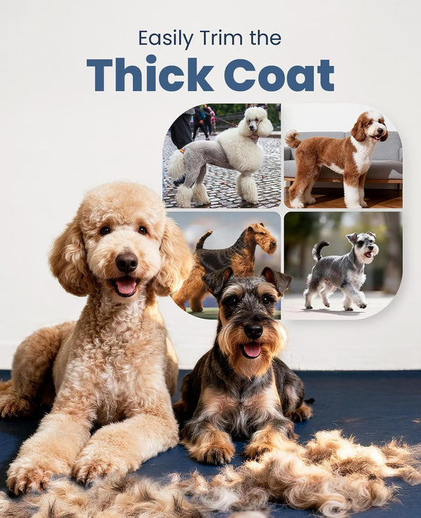 Oneisall Dog Clippers for Grooming Thick Heavy Coats | Low Noise,Rechargeable Cordless,Detachable Stainless Steel Blade,Ipx7 Waterproof,10 Guide Combs,For Thick/Double/Curly Hair7