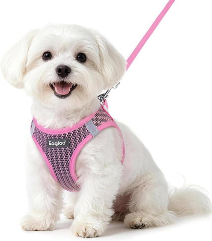 Eagloo Small Dog Harness and Leash Set, Step in Small Sized Puppy Pet Vest | Light, Soft, Breathable Air Mesh, Easy on and off with Hook & Loop, Reflective for Safe Walking, Pink, S1