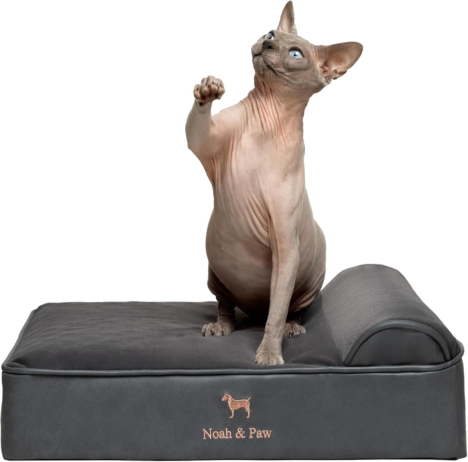 noah-paw-large-dog-bed-35x25x8-7-inch-orthopedic-dog-beds-eggshell-memory-foam-infused-with-cooling-gel-water-resistant-machine-washable-includes-inner-cover-velvet-collection