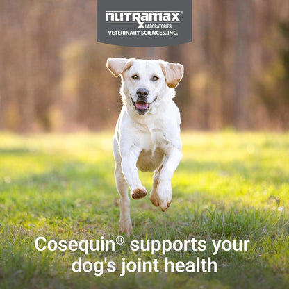 Nutramax Cosequin Dog Joint Supplement, Skin & Coat, Soft Chews, 60Ct | Glucosamine & Chondroitin for Dogs with MSM, Omega-3S, Supports Joints, Skin and Coat Health, All Ages & Sizes3