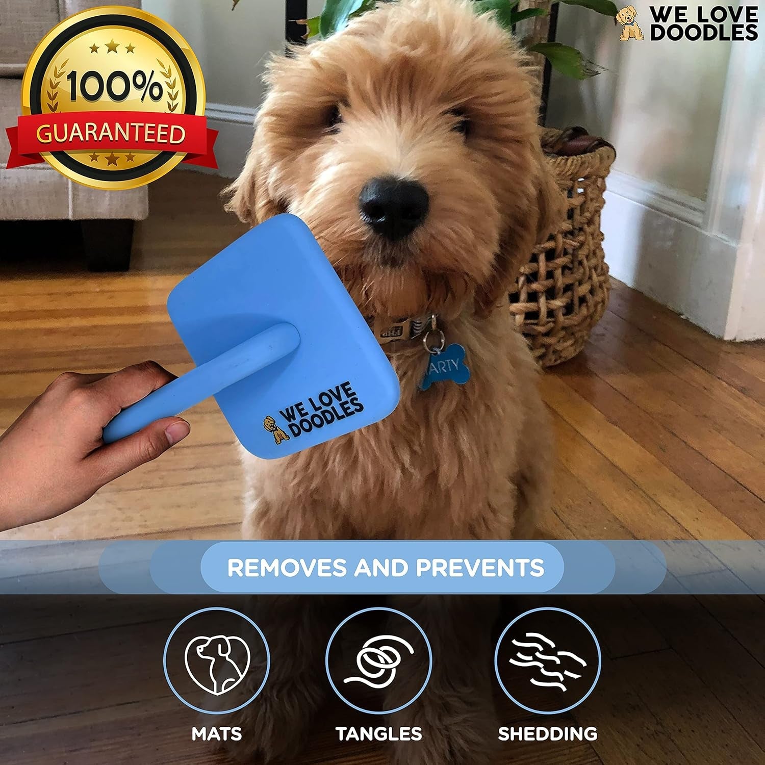 slicker-brush-for-dogs-pet-grooming-brushes-for-doodles-poodles-large-best-brush-for-long-haired-dogs-dematting-comb-deshedding-tools-for-goldendoodle-coats-puppy-matting-grooming-supplies