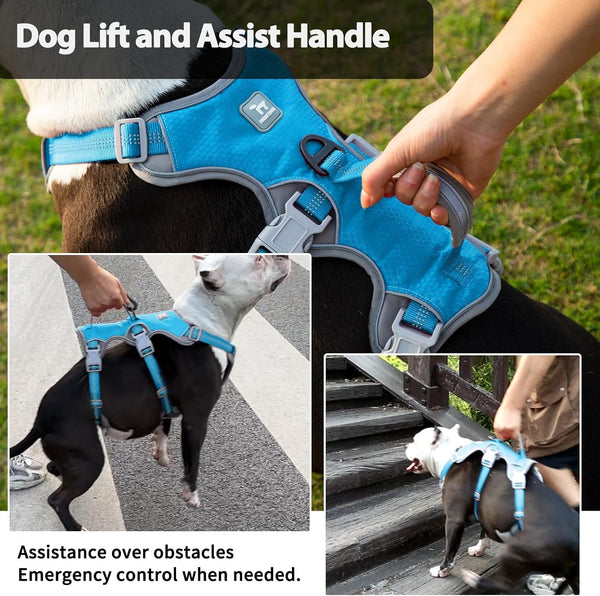 Huntboo Escape Proof Dog Harness, Escape Artist Harness, Reflective Harness with Padded Handle, Breathable, Durable, Adjustable Vest for Medium Dogs Walking, Training, and Running Gear (Blue, M)3