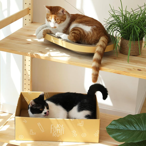 FUKUMARU 3PCS Cardboard Cat Scratcher Bed, Durable Oval Cat Scratch Pads | round Cats Scratching Board Set, Large Scratcher Box for Indoor Cats, Kitten Scratcher Bowl, Couch Sofa Furniture Protector9