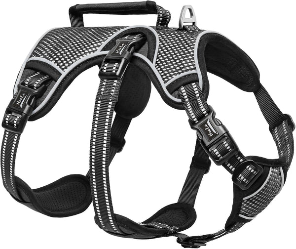 HEELE Dog Harness, Escape Proof Dog Harness, Release on Neck, No Pull Reflective Adjustable Vest with Durable Handle, Dog Harness for Outdoor Training Walking, Dog Harness for Large/Active Dogs, L1