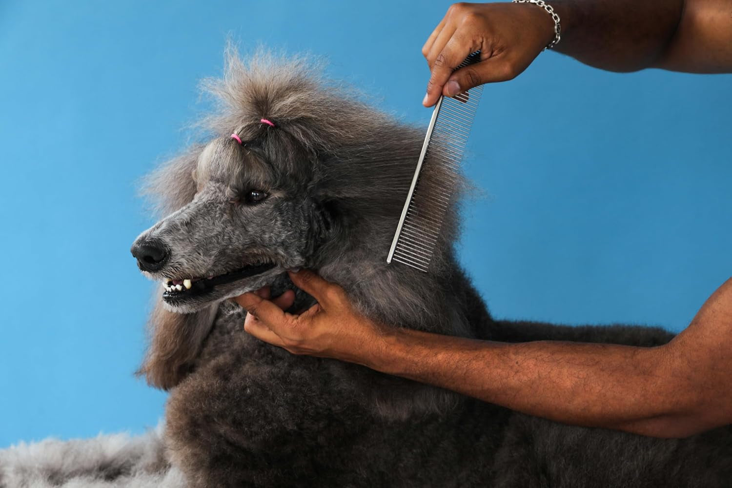 andis-68550-stainless-steel-pet-dematting-comb-7-5in-removes-knots-mats-loose-hair-compact-size-for-precision-dog-grooming-brush-accessory