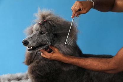 Andis 68550 Stainless Steel Pet Dematting Comb, 7.5In | Removes Knots, Mats & Loose Hair, Compact Size for Precision, Dog Grooming Brush Accessory4
