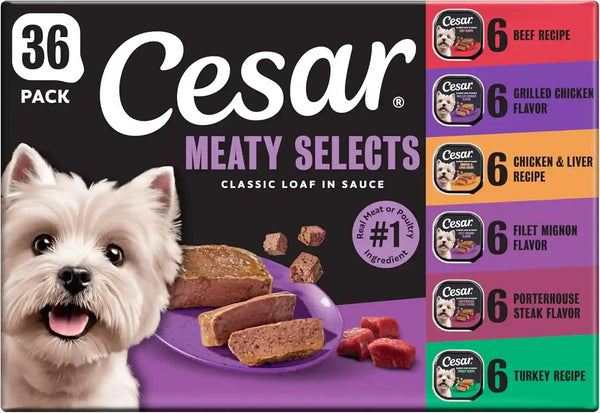 Cesar Wet Dog Food Classic Loaf in Sauce Grilled Chicken, Filet Mignon, Porterhouse Steak, Beef, Chicken & Liver and Turkey Variety Pack 3.5 Oz. Easy Peel Trays (36 Count, Pack of 1) | Made in USA, Real Meat #1 Ingredient, No Fillers or Artificial Flavors, Formulated without Grains, Easy Peel Trays1