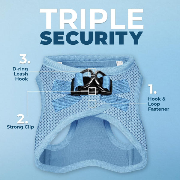 Best Pet Supplies Voyager Step-In Air All Weather Mesh Harness and Reflective Dog 5Ft Leash Combo with Neoprene Handle, for Small, Medium and Large Breed Puppies - Baby Blue, Small2