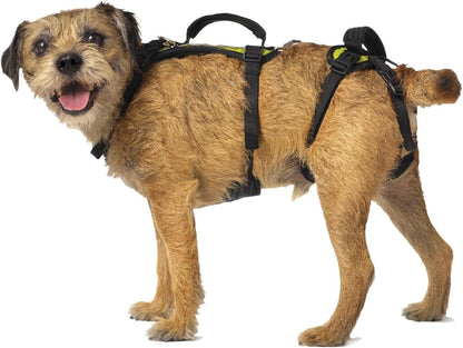 Help 'Em Up® - Dog Lift Harness│ Adjustable Lifting Harness for Dogs │ Full Body Support, Rear Leg Support (Conventional, Medium, 45-80 Lbs)8