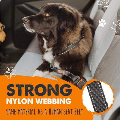 Mighty Paw Dog Seat Belt for Car, Heavy-Duty Aviation Aluminum Carabiner | 850 Lbs Force Rated, Nylon Webbing, Swivel Clip, 16-26 in Adjustable4