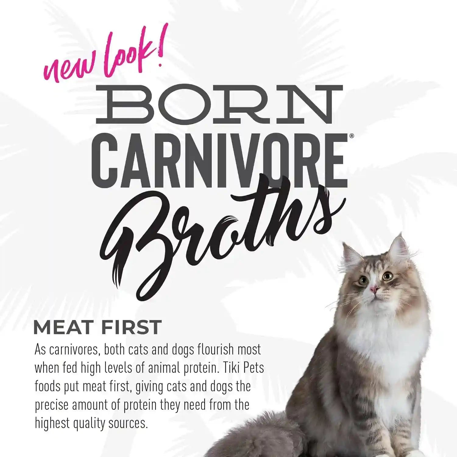 tiki-cat-born-carnivore-broths-wet-cat-food-toppers-variety-pack-1-3-oz-pouch-12-count