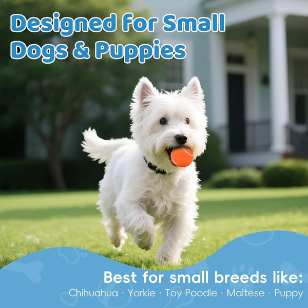40 Pack 2 Inch Dog Tennis Balls, Small Tennis Balls for Dogs, Dog Safe Non-Abrasive Felt, Bulk Puppy Tennis Ball Set for Small Dogs,With Mesh Bag for Easy Transport(Multicolor3