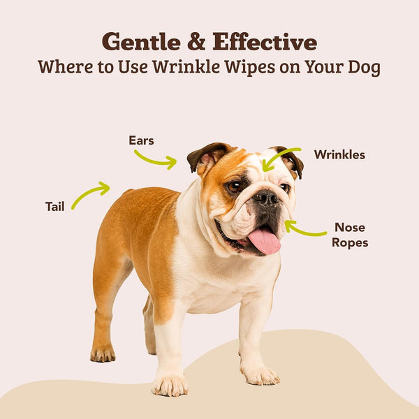 Natural Dog Company Wrinkle Wipes for Dogs, 100 Count, Hypoallergenic, Cleaning & Deodorizing, for Grooming Faces, Paws & Butts5