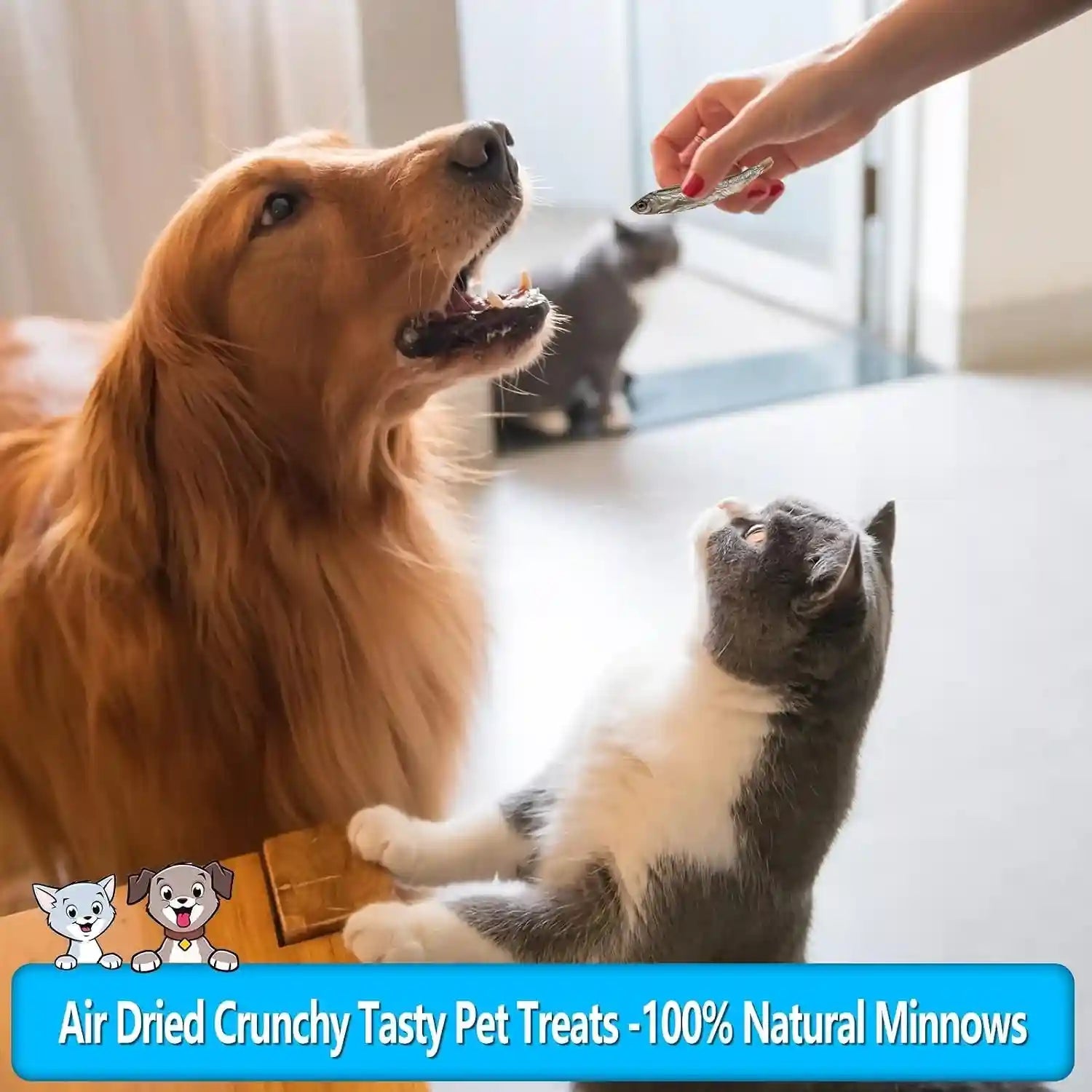 minnows-dog-treats-single-ingredient-dried-minnows-for-dogs-cats-air-dried-grain-free-high-protein-100-natural-premium-cat-dog-treats-4-5-oz