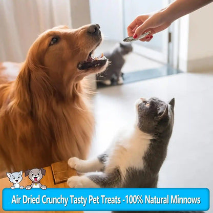 Minnows Dog Treats, Single Ingredient Dried Minnows for Dogs & Cats, Air Dried, Grain-Free, High-Protein, 100% Natural Premium Cat & Dog Treats 4.5 Oz7