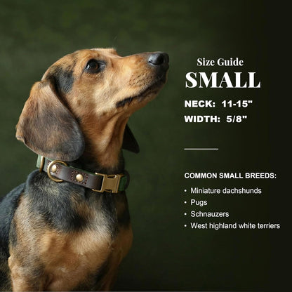 Didog PU Leather Dog Collar for Small Dogs Puppy, Soft Lining, Green S | All-Day Comfort for Daily Walks and Backyard Play, Quick Release Metal Buckle for Easy on & Off, D-Ring for Leash, Easy Clean3
