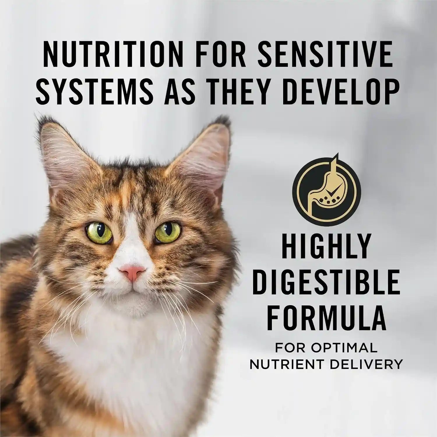 purina-pro-plan-sensitive-skin-and-stomach-senior-cat-food-salmon-and-rice-formula-3-5-lb
